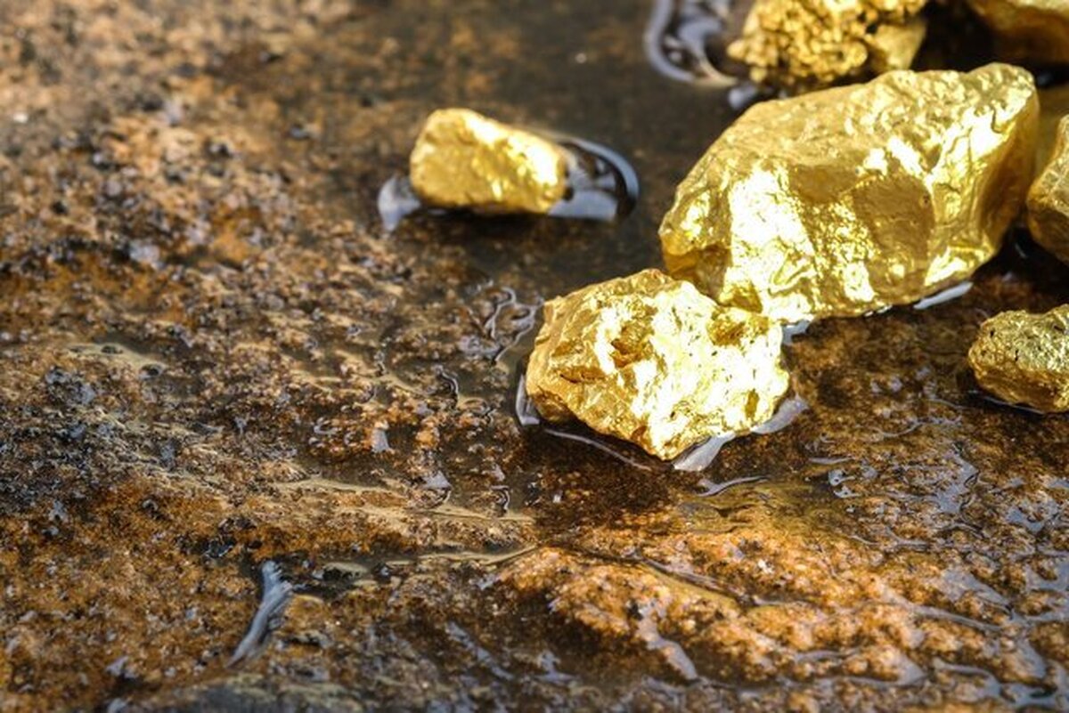 Iran's basic metals value chain. The commodity exchange's offering basket on 12 Mordad 1405 stood at 503,000 tonnes.