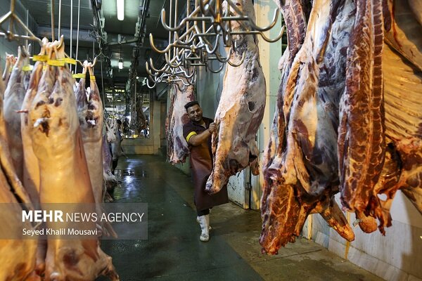 File photo of red meat supply. The Khordad 1405 livestock slaughter data were published on 2 August 2026